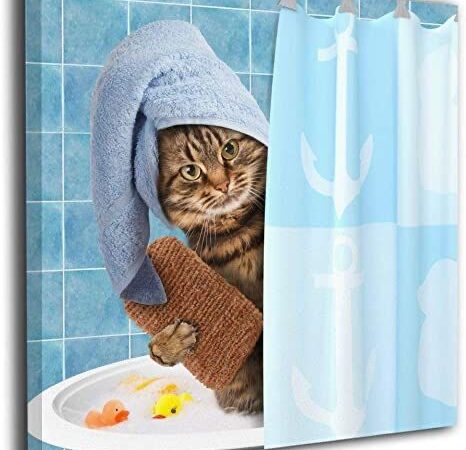 Tắm cho mèo tại BTM Pet Shop Bình Thạnh