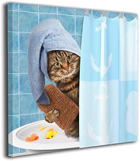 Cat Bathing at BTM Pet Shop Bình Thạnh