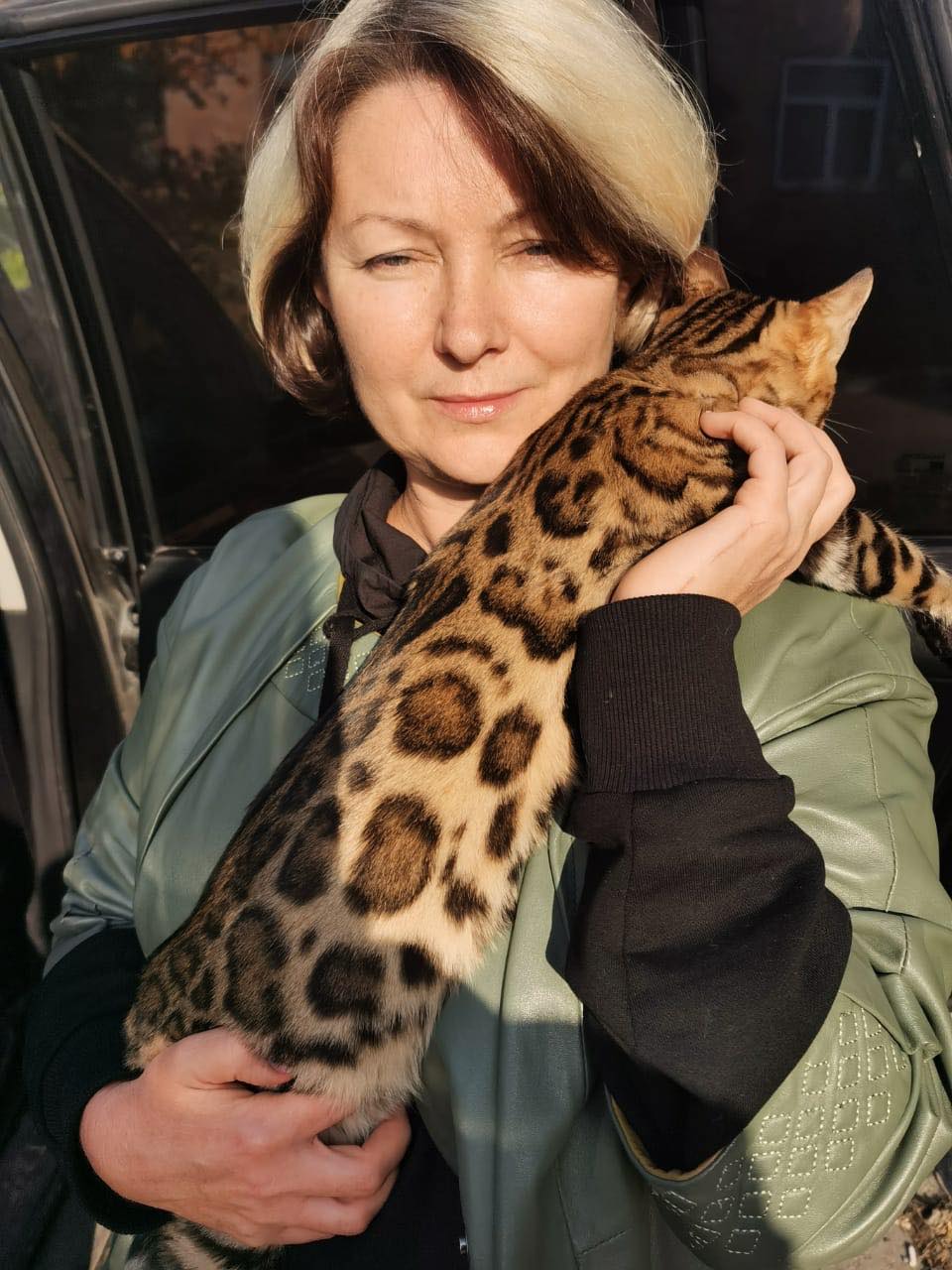 Bengal Cats — Buying Prices in Ho Chi Minh City