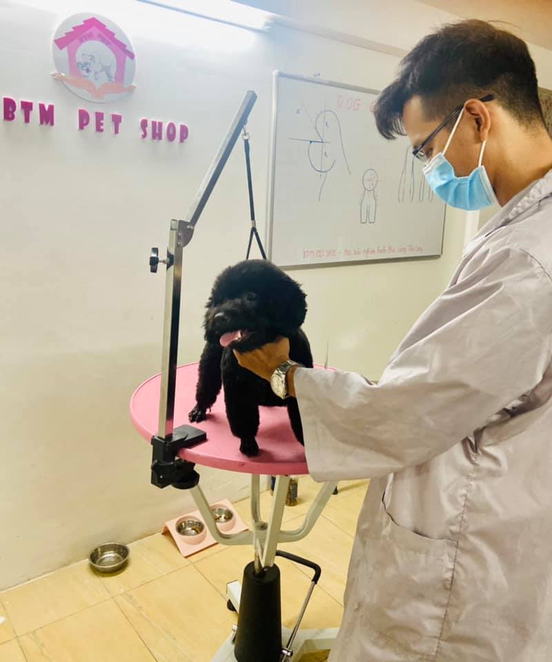 Where Can You Learn Pet Grooming?