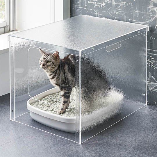 Types of Cat Litter