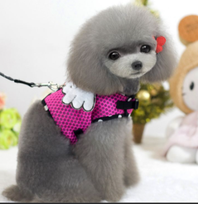 Tại sao ngành Dịch Vụ Cho Thú Cưng lại trở nên HOT đến như vậy?