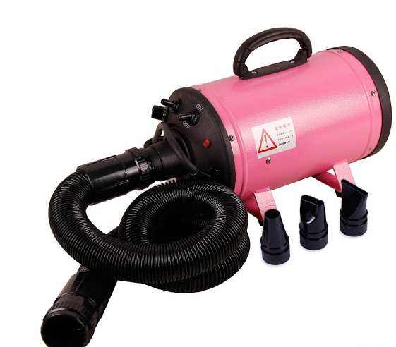 At-Home Pet Grooming Services