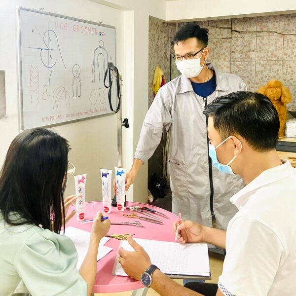 Học Cắt Tỉa Lông Chó Mèo TPHCM