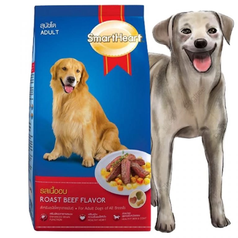 SmartHeart - Thức ăn dinh dưỡng cho chó to vị bò nướng (1.5kg)