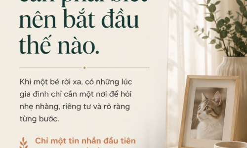 Thú cưng qua đời nên làm gì – BTM Pet Cremation