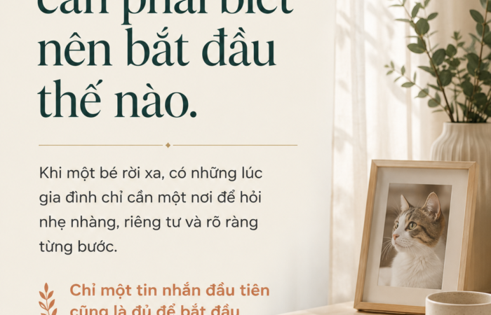 Thú cưng qua đời nên làm gì – BTM Pet Cremation
