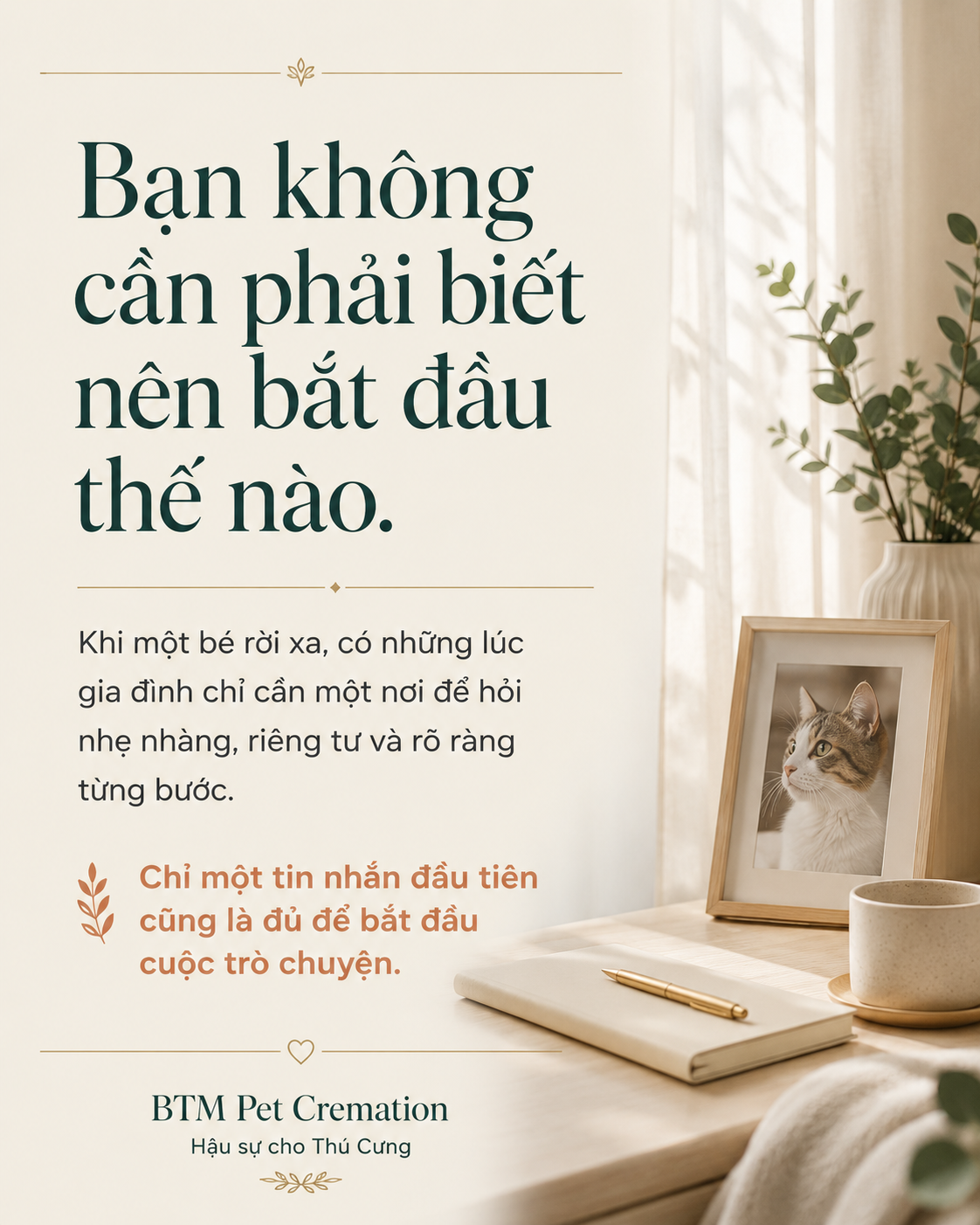 Thú cưng qua đời nên làm gì – BTM Pet Cremation